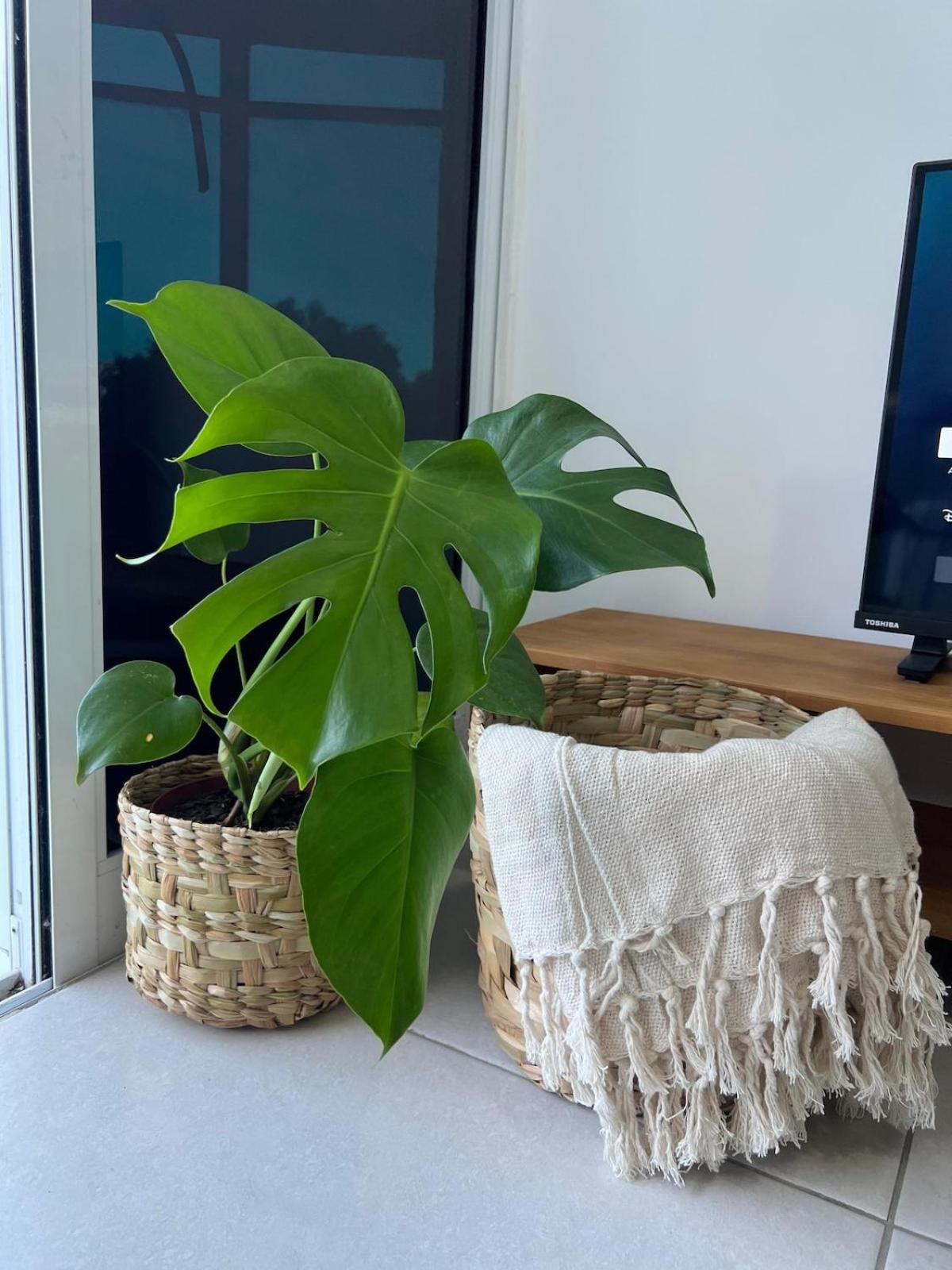 Apartamento Ape Azul Arraial - Recem Reformado Pronto Uso